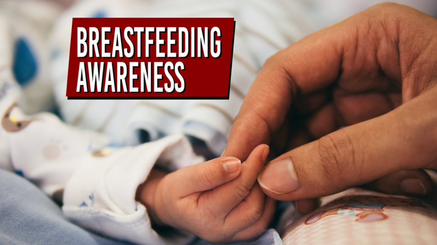 Annual breastfeeding awareness event