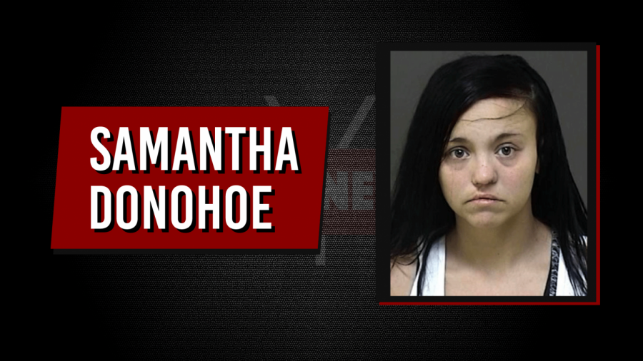 Mother indicted for infants hot car death