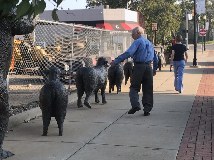 A man stops to see the damage to the downtown sculptures and points at sheep painted blue.