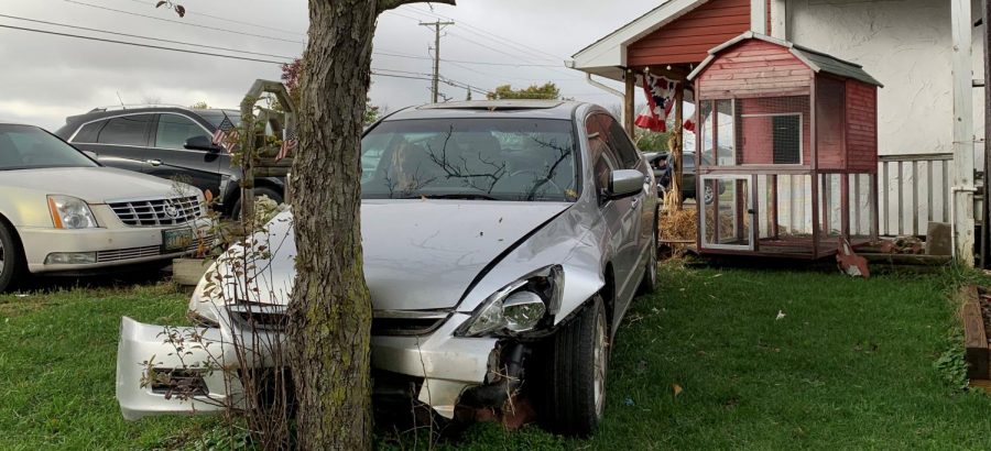 One of the mans dogs sit in the front seat of the car involved in an accident Friday morning.