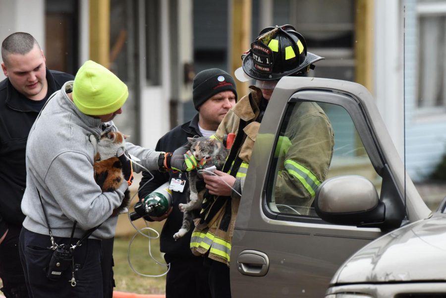 Two+people%2C+three+animals+rescued+from+fire+on+Maple+Avenue