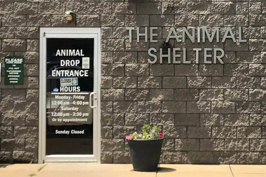 Animal Shelter Society Board speaks to departure of both directors earlier this year