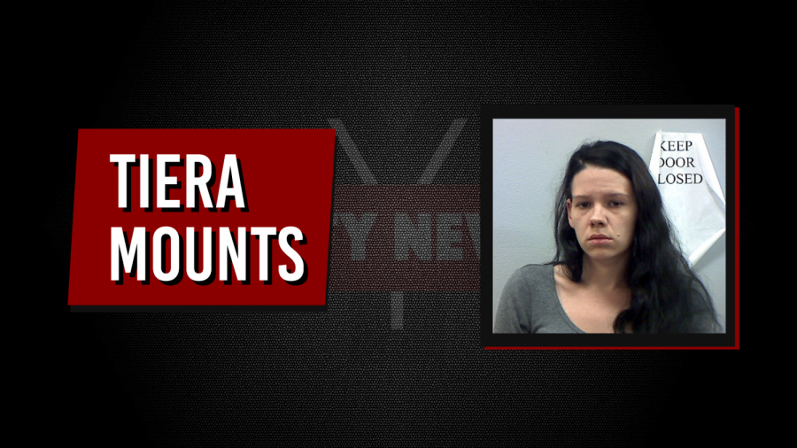Guernsey County mother indicted on 33 counts in the murder of 6 year-old son