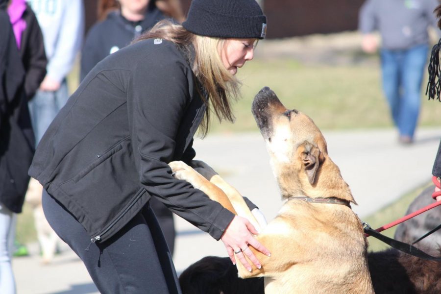 Zane States Dog N Jog 5K registration opens