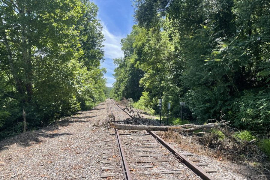 The railroad line has yet to be cleared of a fallen tree from a recent storm. 